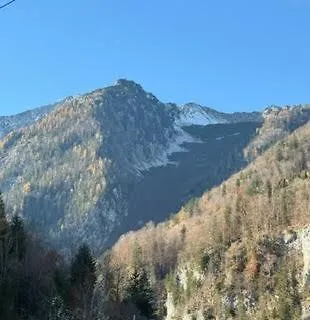 Gesaeuse-zimmer Hieflau